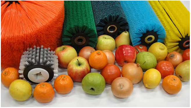 Brush Rollers for Fruit and Vegetable Washing Machines